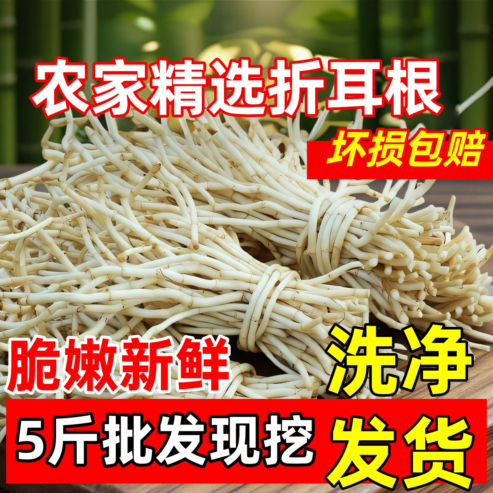 折耳根野菜鱼腥草蔬菜节节根现挖现发洗净发货包邮嫩芽凉拌新鲜