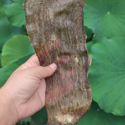农家自种新鲜江西茄子干皮