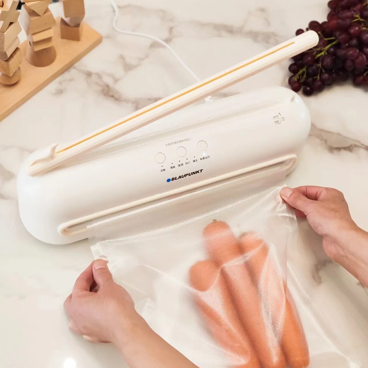 BLAUPUNKT/蓝宝BPVM01真空机包装机家用小型食品保鲜封口机全自动