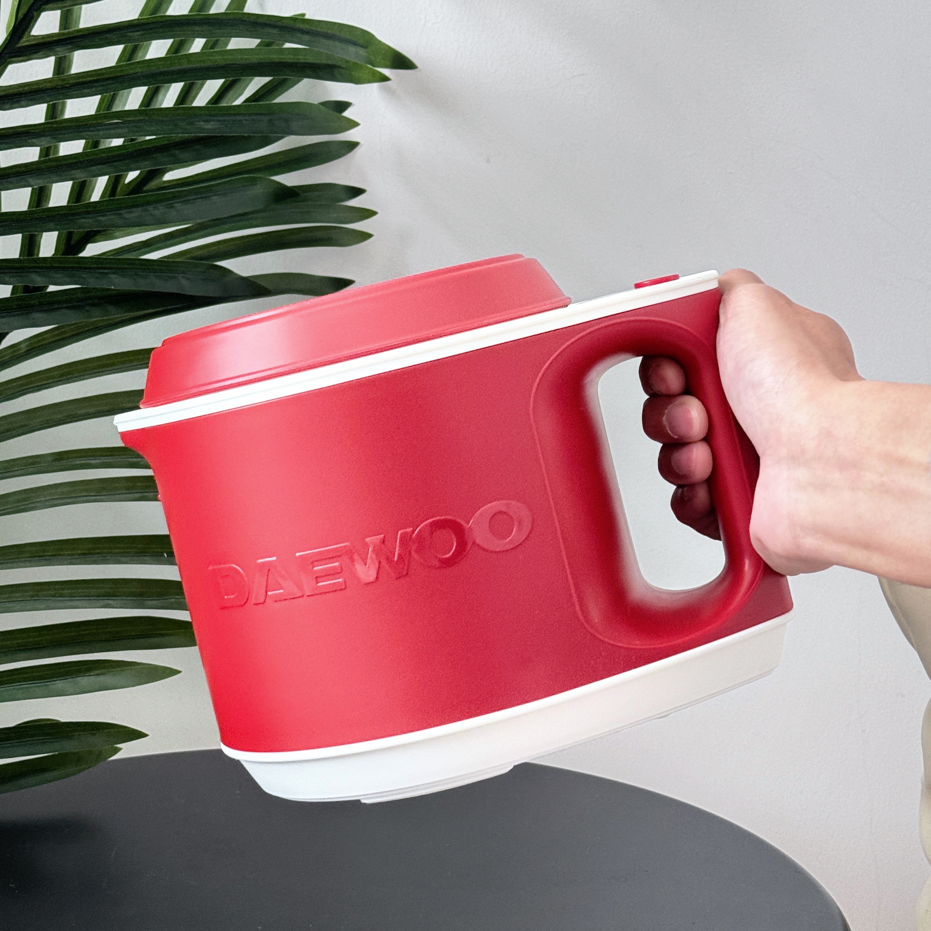 DAEWOO/大宇DY-FB31多功能迷你电饭煲食小型泡面电煮锅炖汤电火锅