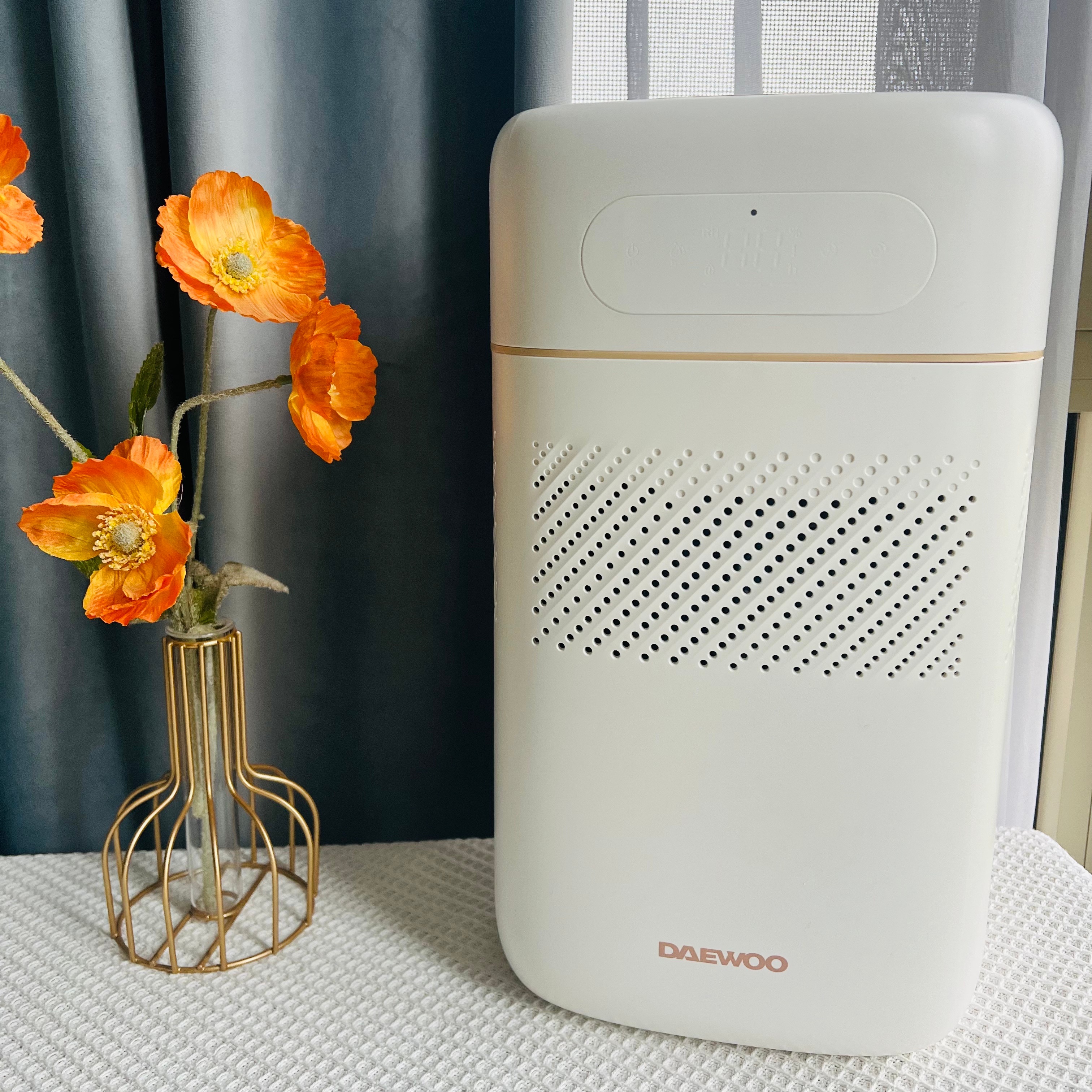 DAEWOO/大宇PH02无雾加湿器家用婴儿卧室低音空气净化冷蒸发抑菌