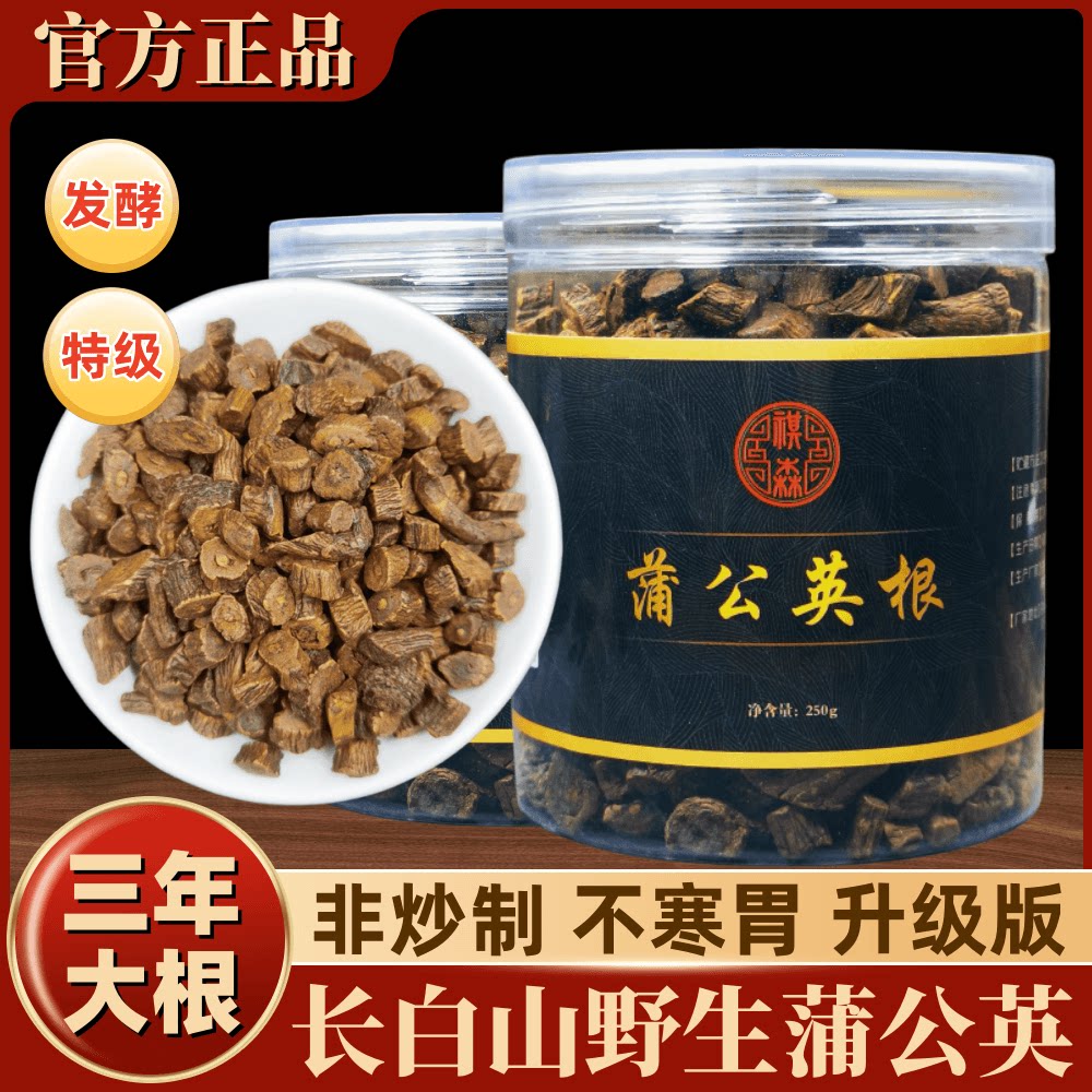 野生长白山蒲公英根茶发酵红茶正养生茶