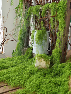 仿真苔藓植物造景绿草坪橱窗室内玄关楼梯景观阳台假绿苔装饰摆件