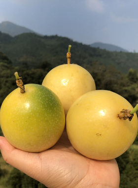 钦蜜黄金百香果现摘纯甜