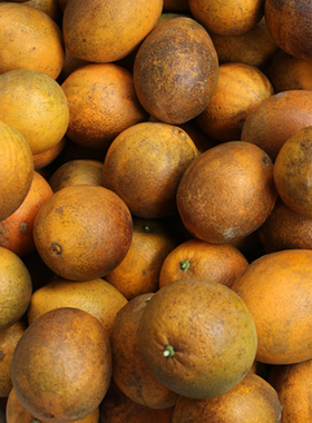 特价包邮江西赣南脐橙当季新鲜水果新鲜采摘整箱5斤丑橙大小混装