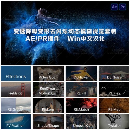 慢动作降噪去闪动态模糊视觉套装AE/PR插件 RE v21.0 Win中文汉化