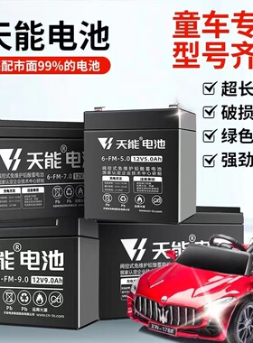 天能6V4.0AH3-FM-4.0电子秤台称耀华地磅吊秤铅酸蓄电池童车电瓶