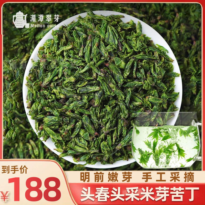 2026头春头采米芽头苦丁茶嫩芽茶