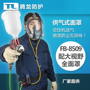 腾龙FB-8509供气式全面罩/防毒/防尘/喷漆/清罐/化工面具包邮