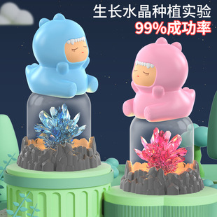 手工diy制作養(yǎng)晶體生長小學(xué)生益智玩具 兒童種植水晶科學(xué)實驗套裝