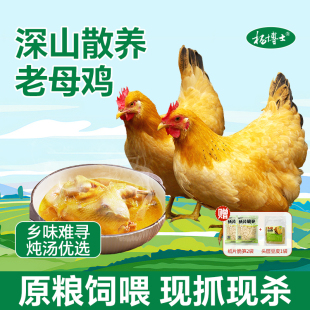 杨博士老母鸡皖南散养原粮饲喂土鸡孕妇月子鸡走地鸡2只老母鸡
