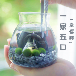 球藻君MARIMO天然水晶海藻球「矿石原力」微景观高端生态瓶礼物