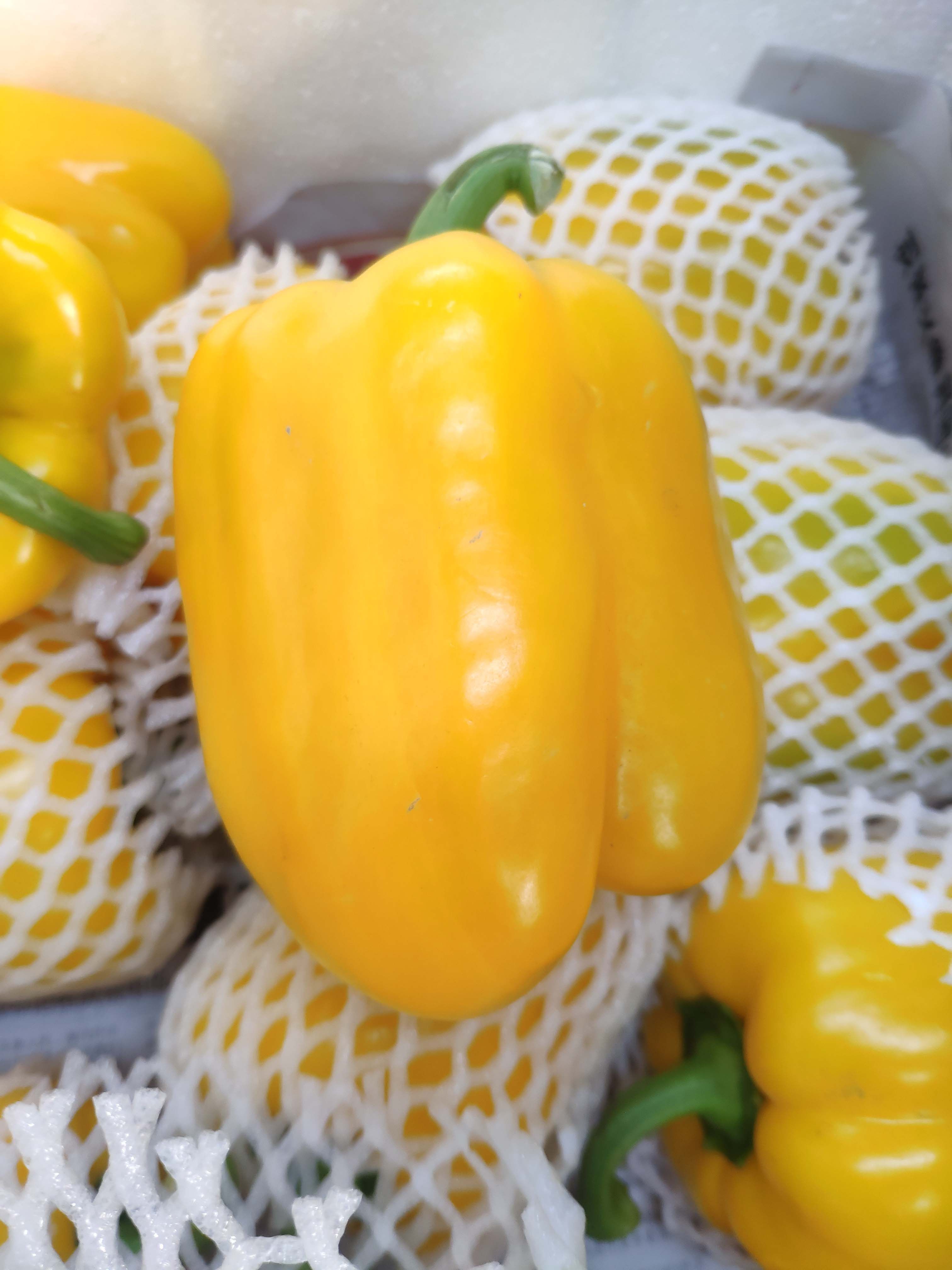 新鲜黄彩椒黄椒 西椒 灯笼椒 沙拉圆椒甜辣椒广州深圳蔬菜配送1斤