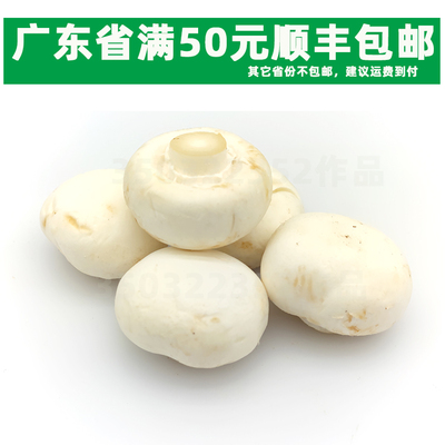 新鲜干菇口蘑斤装食用菌