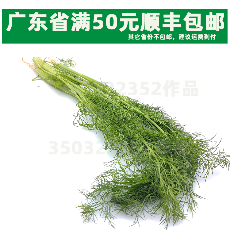 新鲜带头茴香菜500G小茴香苗小吃料理味道包饺子专用食材带根