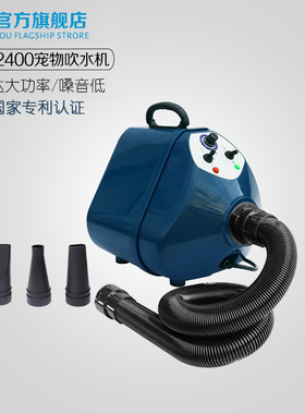 春舟新品三马达大功率吹水机美容店吹风机用品GS-2400