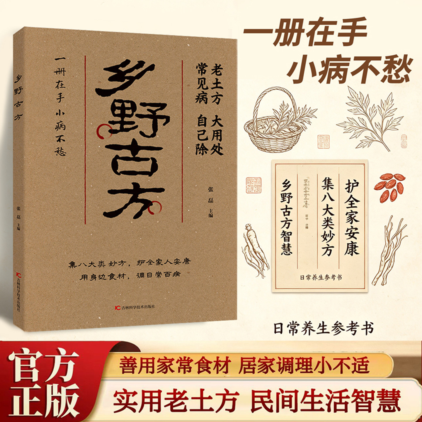 乡野古方 老土方大用处常见病自己除实用妙方书籍家庭日常养生保健读物 居家生活健康调理科普图书日常小毛病调理实用cj参考书