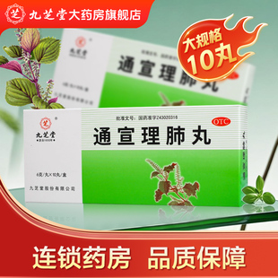 九芝堂 通宣理肺丸 6g*10丸 解表散寒宣肺止嗽头痛无汗感冒咳