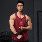 撸铁狼健身背心男夏运动无袖 宽松速干衣工字肌肉训练高弹透气吸汗