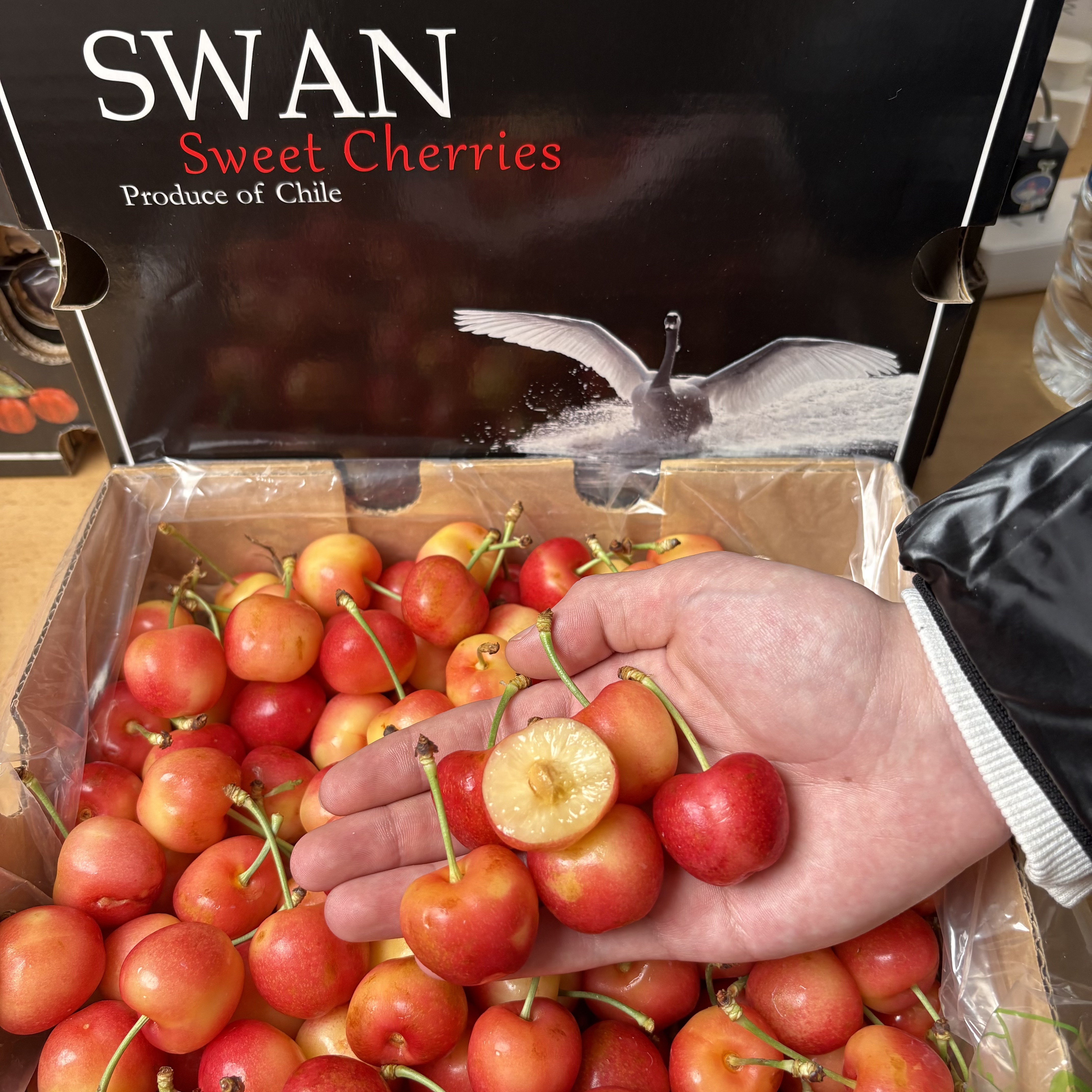 【顺丰空运】黑天鹅金车3J2-4斤整箱智利空运黄车厘子内附果径卡