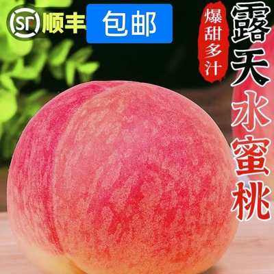 头茬新鲜露天水蜜桃孕妇水果