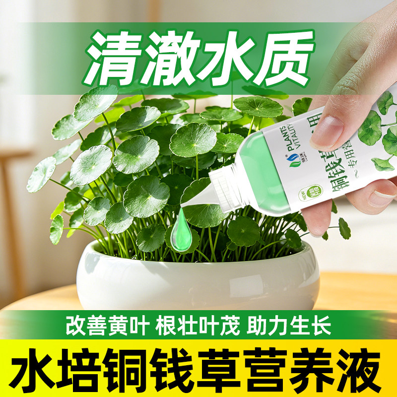 【正品】铜钱草水培植物专用肥料无机肥