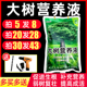 大树营养液吊针液死树复活生根液树木果树防虫移栽成活生根输液袋