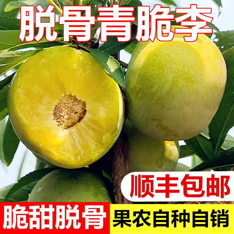 万州分水李子脱骨青脆李脆甜空心