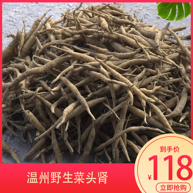 浙江温州七肾雁荡山野生新鲜菜头肾土太子参补肝肾壮筋骨风火牙疼