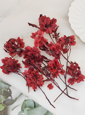 迎客豆蝴蝶花红色永生花发饰套装