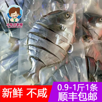海产品金鲳鱼鱼干鲳鱼链金昌鱼咸鱼干 淡盐风干 特大条 湛江特产