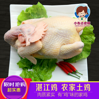小布点老师真空湛江农家鸡酒糟鸡