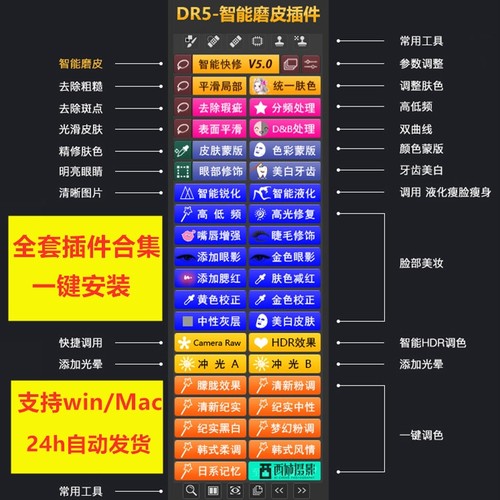 全套Ps磨皮插件中文合集一键安装包Dr5教程人降噪调色mac预设WIN