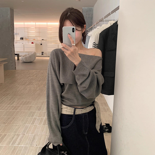 抹胸针织背心女+蝙蝠袖短款毛衣