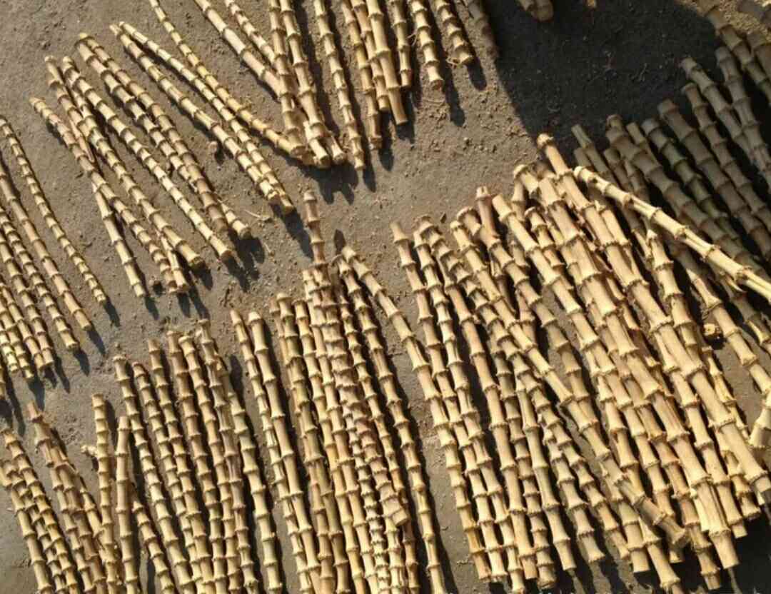 竹鞭原材料15毫米满百包邮diy