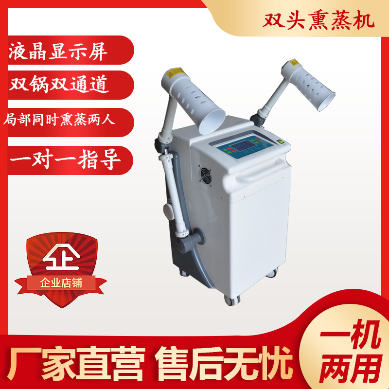 2024年热销双头熏蒸机液晶显示单头局部熏洗仪移动中药渗透仪器械