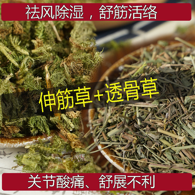 伸筋草中药材舒筋草透骨草石松草狮子草去湿舒筋活络中草药宽筋藤
