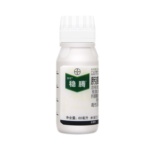 拜耳稳腾30%肟菌酯戊唑醇白粉锈病赤霉纹枯病稻曲稻瘟病杀菌剂