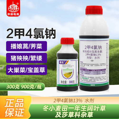 华星草匠2甲4氯钠13%二甲四氯钠一年生阔叶杂草除草剂农药灭草剂