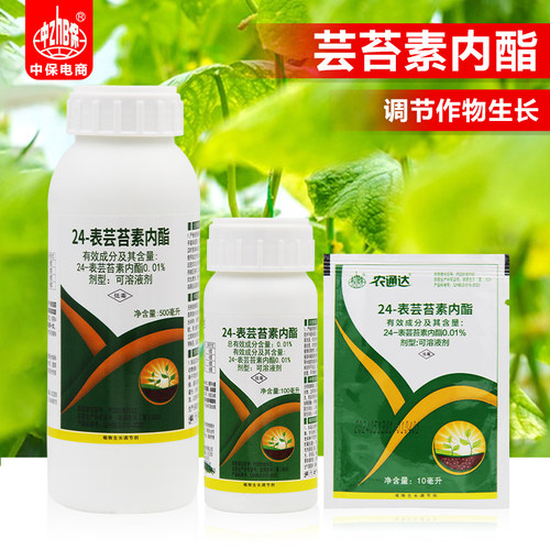 中保24表芸苔素内酯脂水稻柑橘小麦黄瓜促生长促根植物生长调节剂