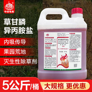 草甘膦除草剂41%草甘磷异丙胺铵盐杀草药果园荒地除草烂根剂农药