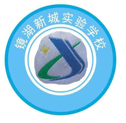 芜湖镜湖新城实验小学 中小学校徽章校服刺绣圆标肩章胸标 现货