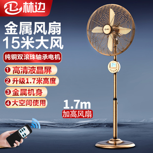 林边复古落地扇家用金属扇复古风扇商务升降大风扇铜线电机工业扇