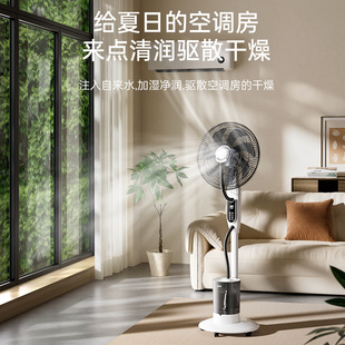 林边喷雾风扇大风力家用负离子智能落地扇加水加湿雾化降温电风扇