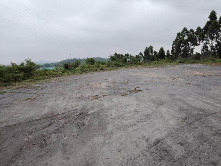 1月5日昌江河砂原砂约11590.05立方米网络拍卖公告