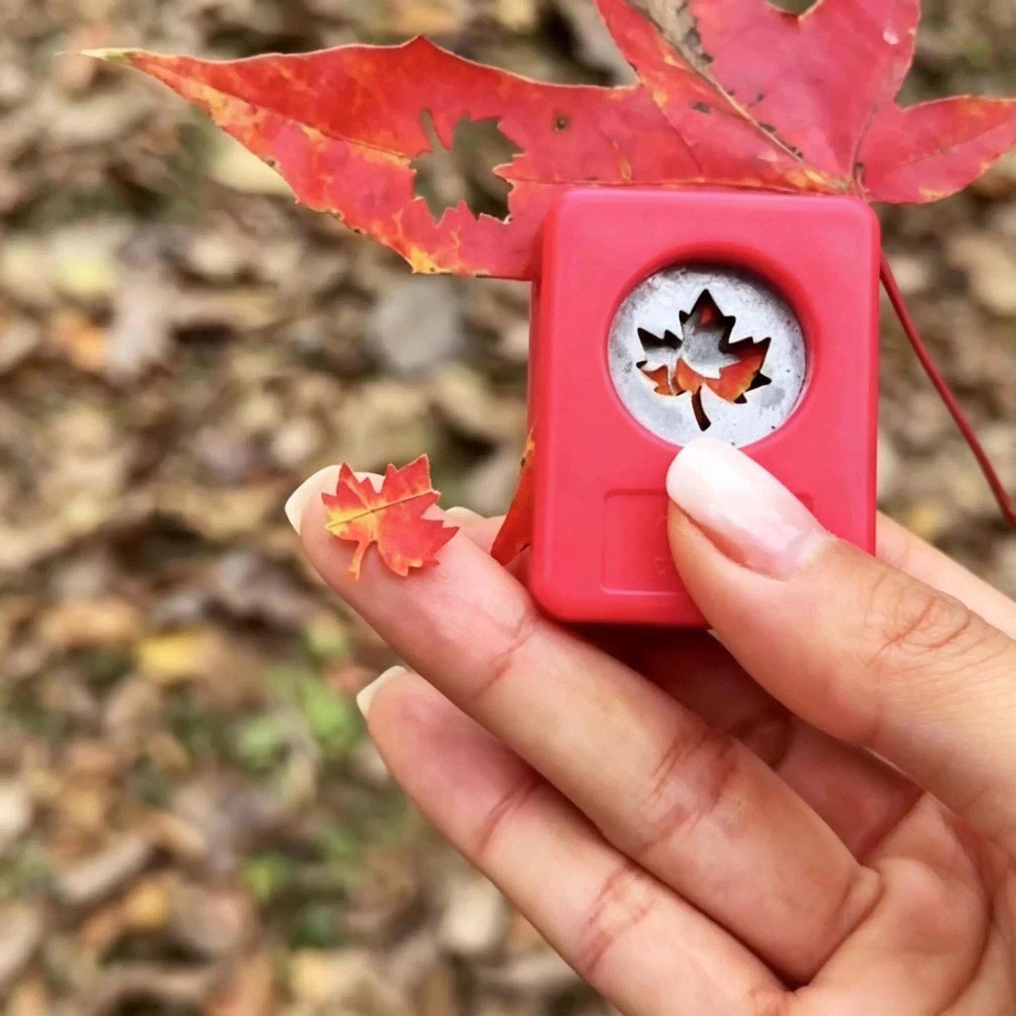【留下秋天】树叶压花器儿童手工便携手账裁剪工具diy枫叶打孔器