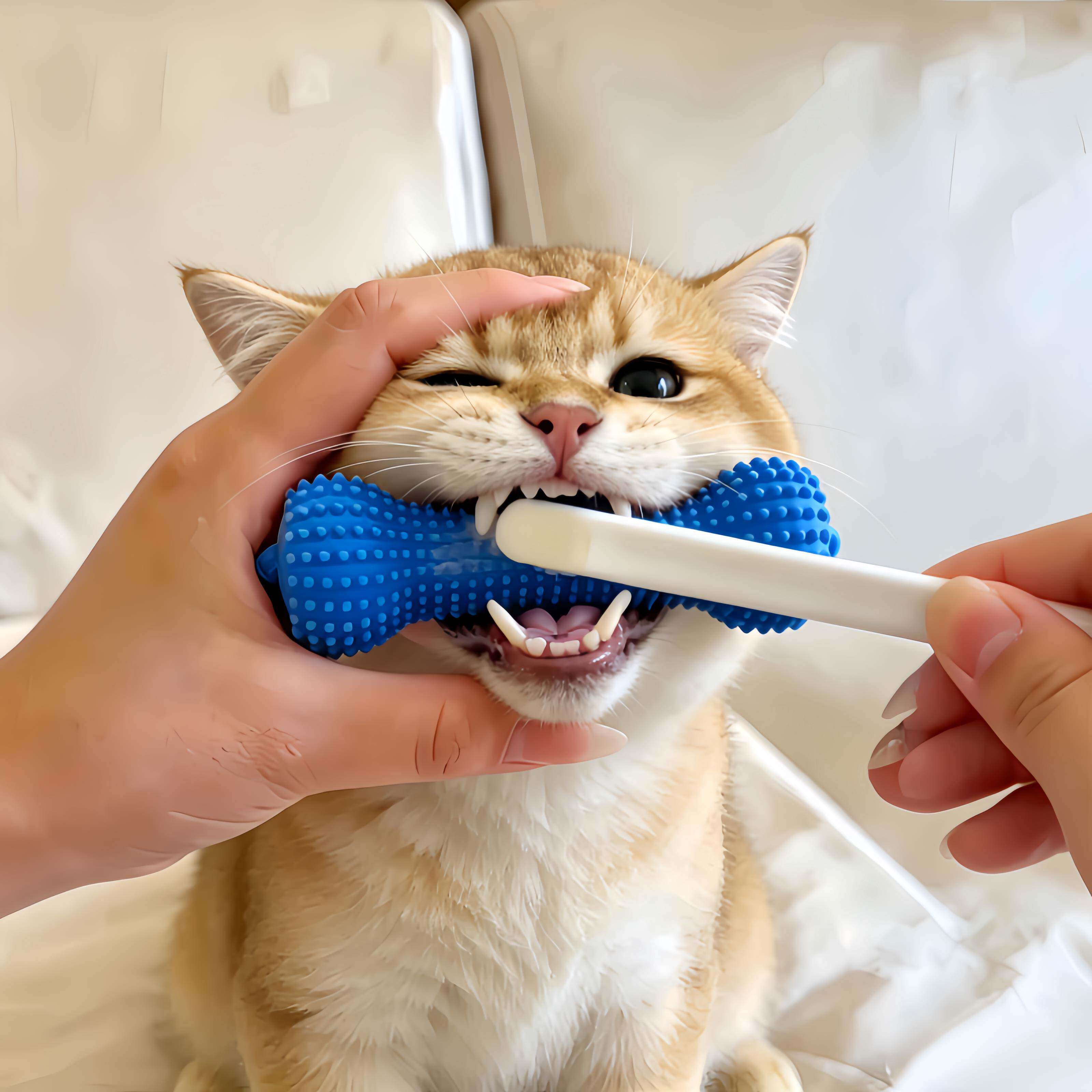 【不伤手】猫猫刷牙辅助器洁牙绑带式固定扩口器宠物嘴巴清洁用品