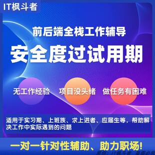 java编程指导/工作辅导java前后端远程辅导工作辅导度过试用期