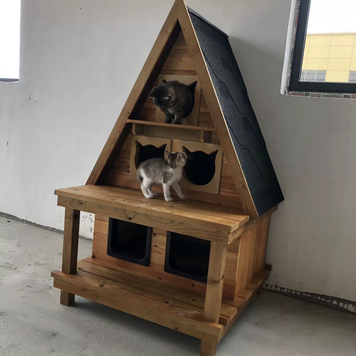 夏天防晒实木质宠物窝室内家用室外户外猫窝猫笼子猫别墅猫咪网红