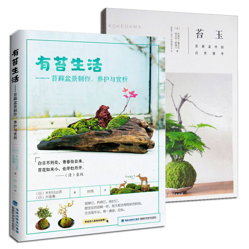 苔藓的养护价格 苔藓的养护图片 星期三